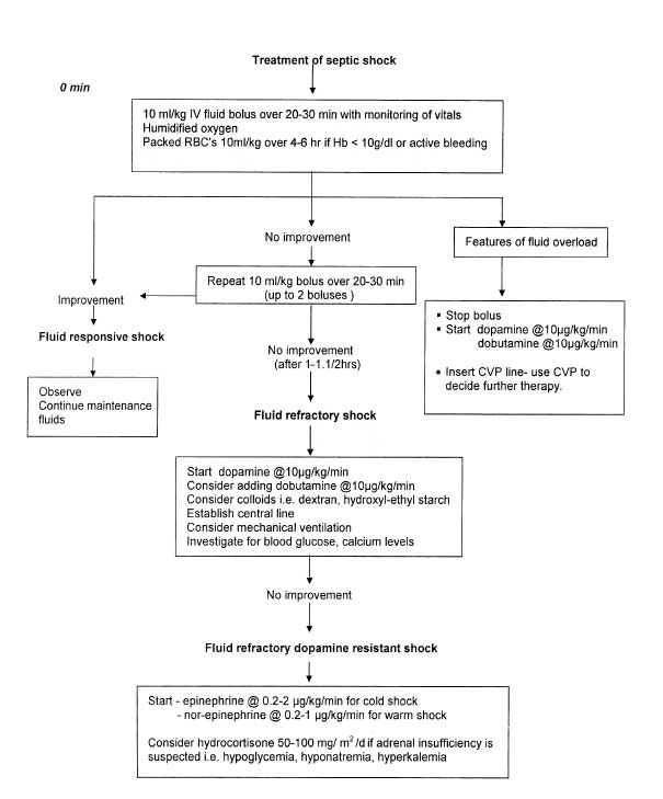 Pathophysiology Of Shock Flow Chart