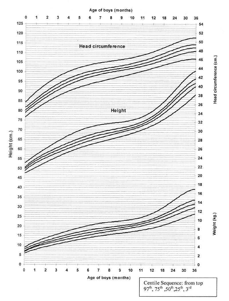 Baby Head Size Chart