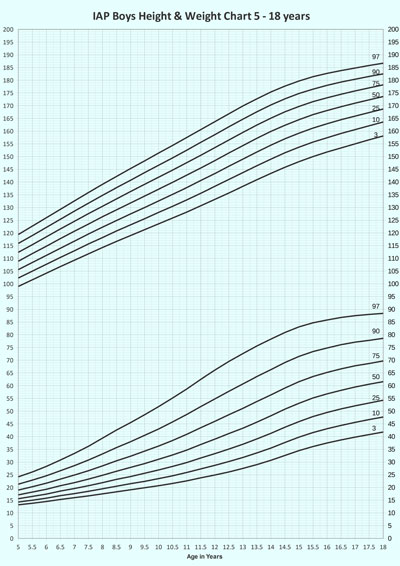 Extended Bmi Chart