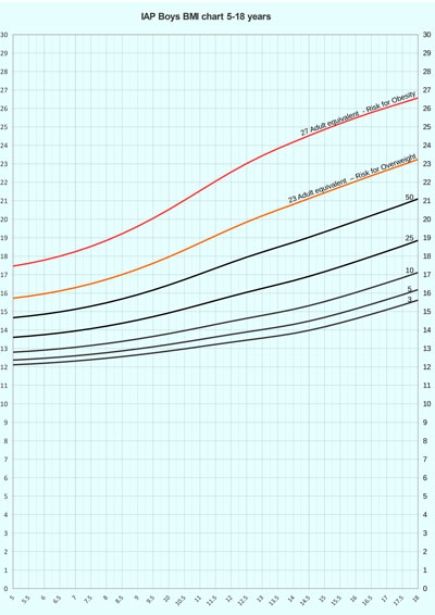 Bmi Chart For 6 Year Old Boy