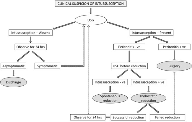 Image result for intussusception