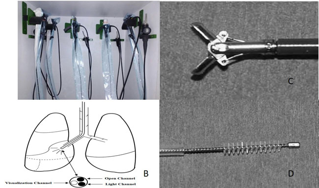 Pediatric Bronchoscope Size Chart