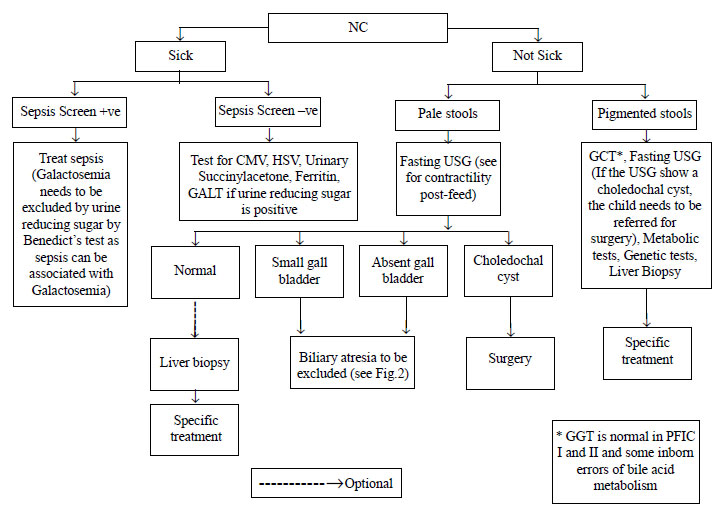 Ggtp Level Chart