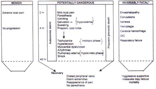 scorpion sting symptoms duration