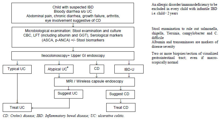 shigella colitis in babies