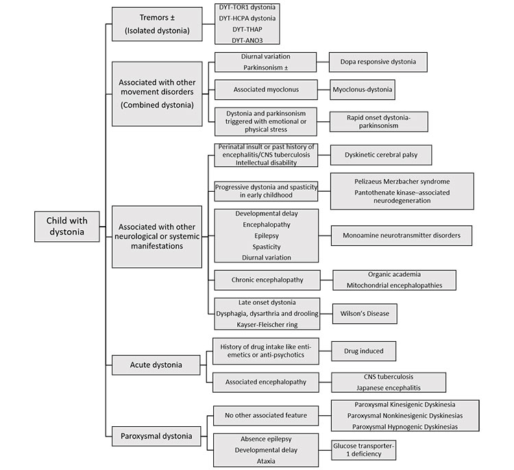 Approach to developmental_delay