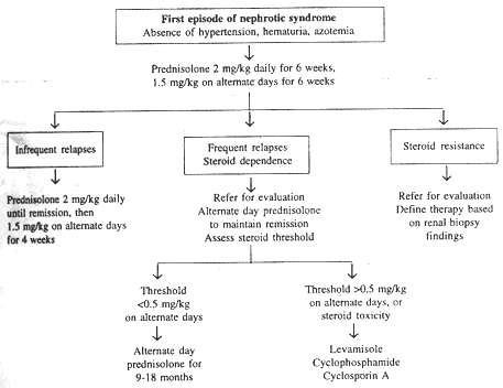 Nephrotic Diet Chart